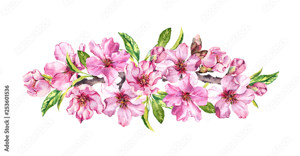 Spring time flowering composition. Peach, almond, plum, cherry, sakura flowers, pink apple blossom. Gentle watercolor