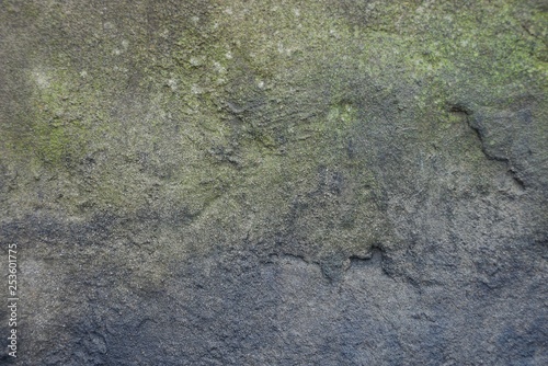 gray green stone texture from dirty concrete wall