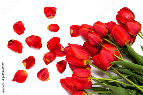 Spring time. Beautiful red tulips and scattered petals on a white background. Top View, Flat lay.