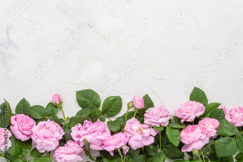Fototapeta Naklejka Na Ścianę i Meble -  Pink roses on a light stone background. flat lay, top view