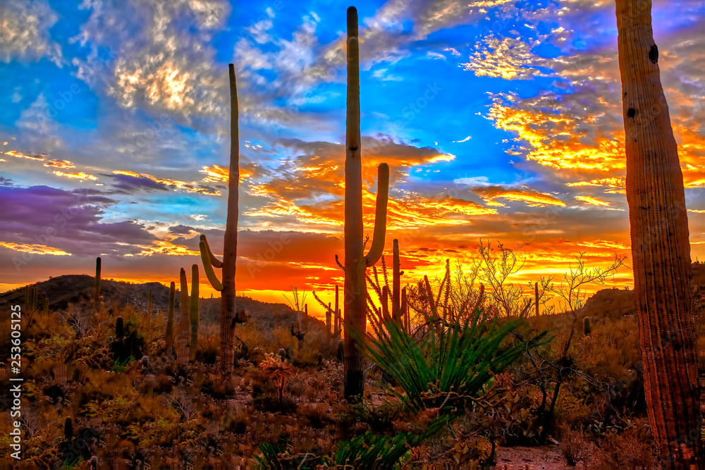 Sunset in the Arizona Desert
