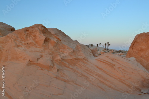 sahara desert