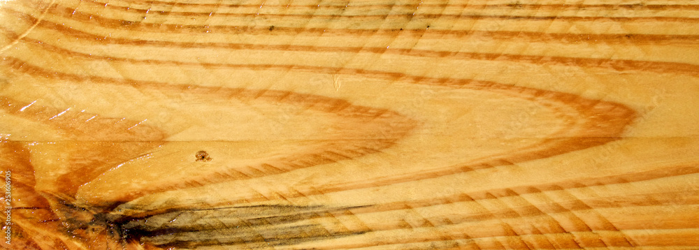 Naklejka premium Cropped close up of Polyurethaned plain pine plank board showing grain and saw marks.