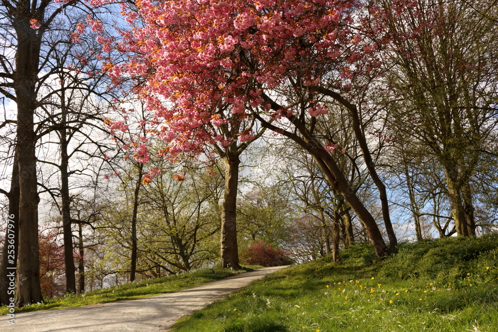 Spring in Leeuwarden, the Netherlands