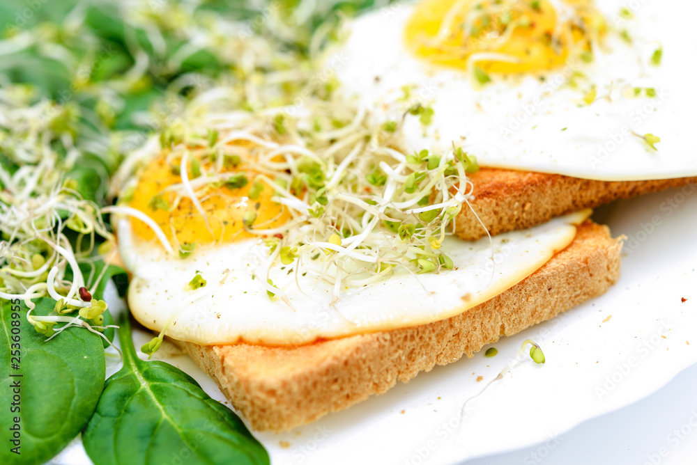 Tasty fried eggs on toast with spinach and young sprouts on a white plate in close-up Tasty fried eggs on toast with spinach and young sprouts on a white plate in close-up