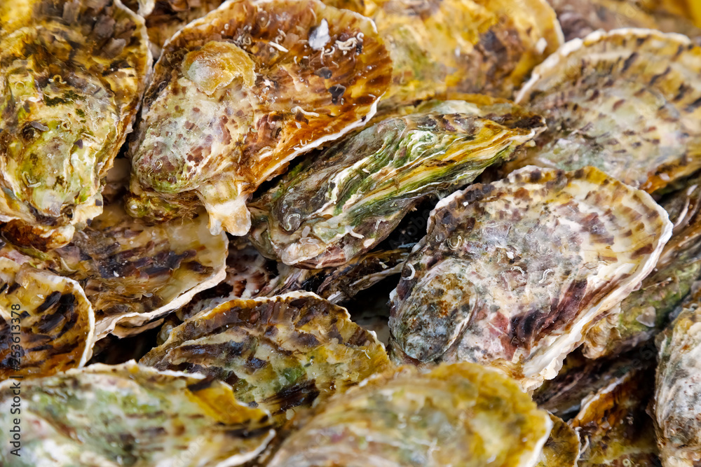 Fresh oysters formed a background Fresh oysters formed a background