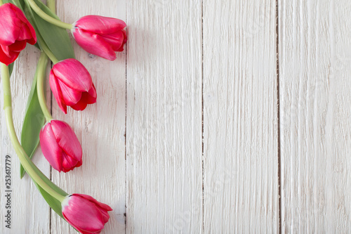 pink tulips on white wooden background