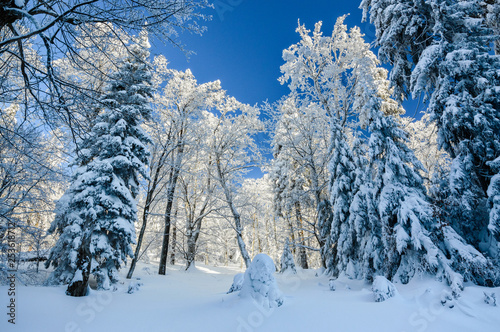 Polish Winter landscape in the mountains, snowy trees and roads.