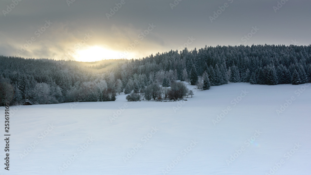 Polish Winter landscape in the mountains, snowy trees and fields.
