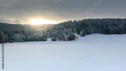 Polish Winter landscape in the mountains, snowy trees and fields.