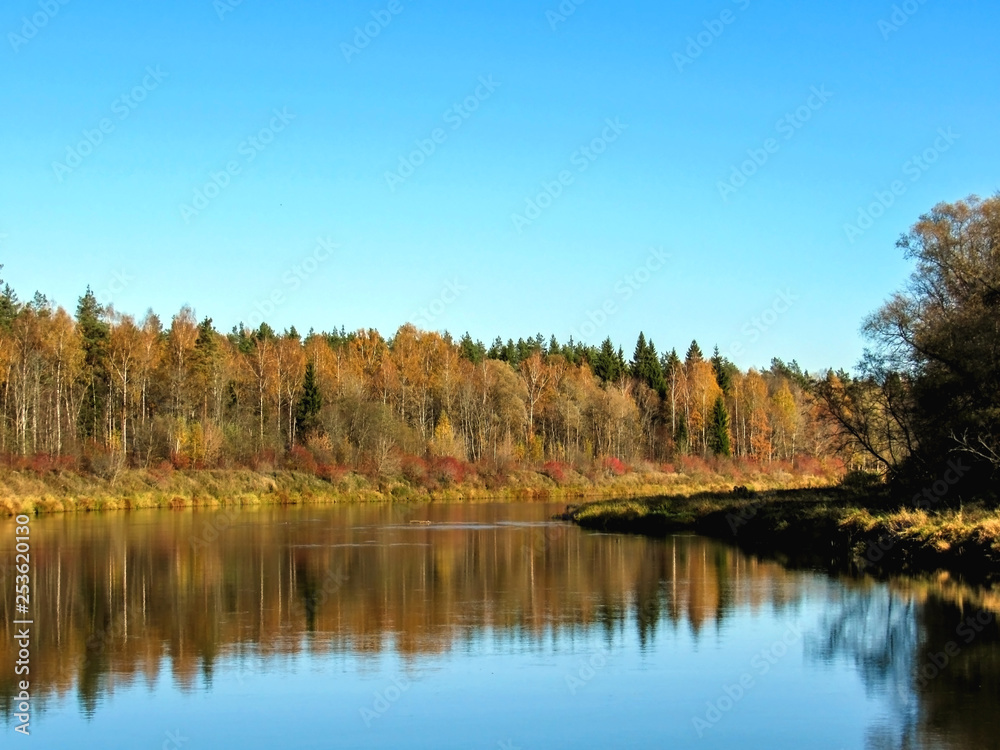 Autumn landscape of Gauja river valley and colorful forest reflection in mirror water