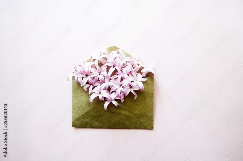 Hyacinth Pink Surprise Dutch Hyacinth . Spring flowers. The perfume of blooming hyacinths is a symbol of early spring. Closeup.Texture.Pnk flowers Hyacinth Pink Surprise Dutch Hyacinth . Spring flowers. The perfume of blooming hyacinths is a symbol of early spring. Closeup.Texture.Pnk flowers