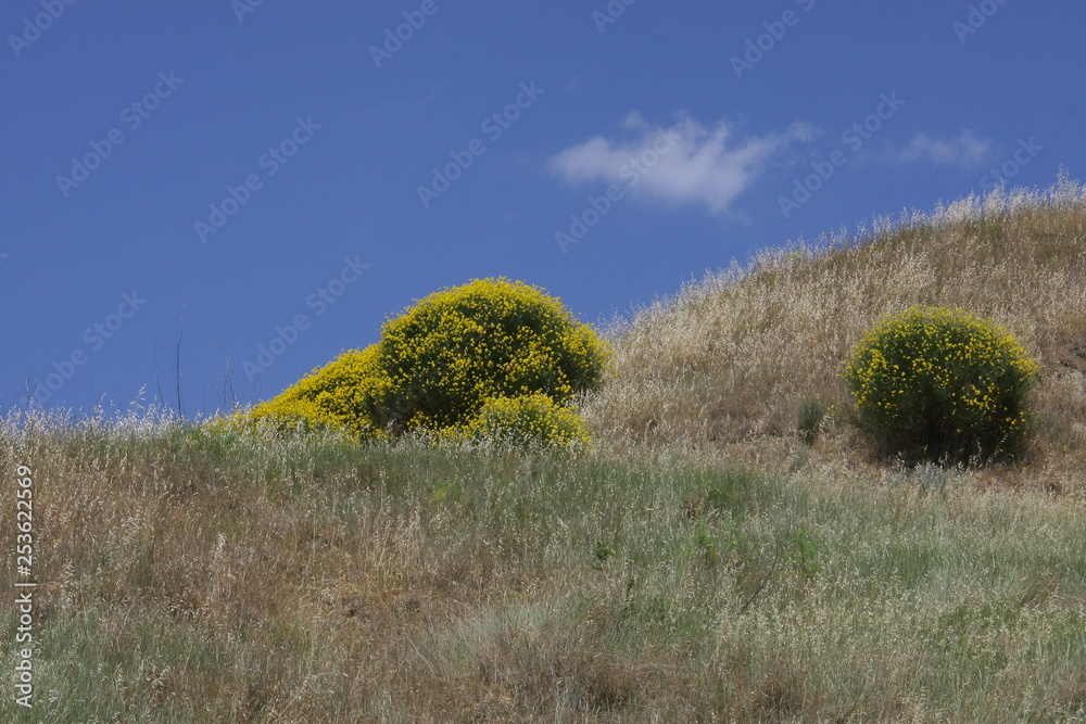 Obraz premium toscana