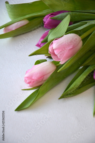 bouquet of tulips in front of spring scene, Happy wona’s day. 8March