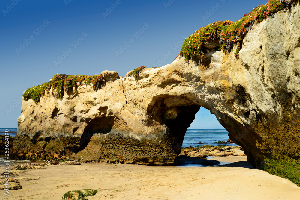 Lighthouse Field State Beach Arch. The beach is located in Santa Cruz, California next to the Santa Cruz Lighthouse