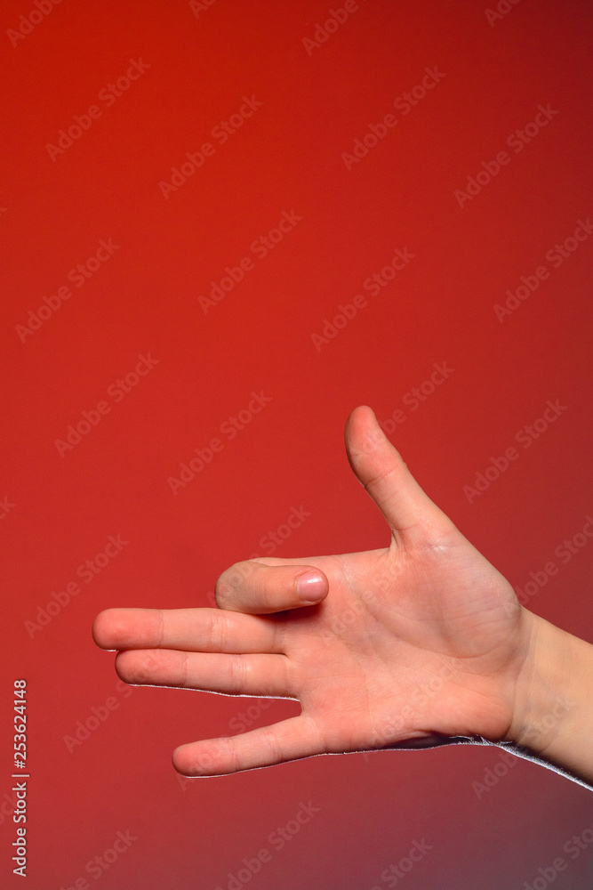 Human hand, isolated on a red background showing the dog's sign, symbolizing the friendship of the animal and man