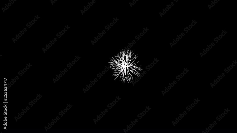 Growing tree, forming globe shape with leaves. 3D rendering. Growing tree, forming globe shape with leaves. 3D rendering.