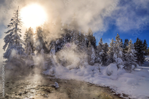 Sun Rising Above a Frozen Forest in Yellowstone National Park