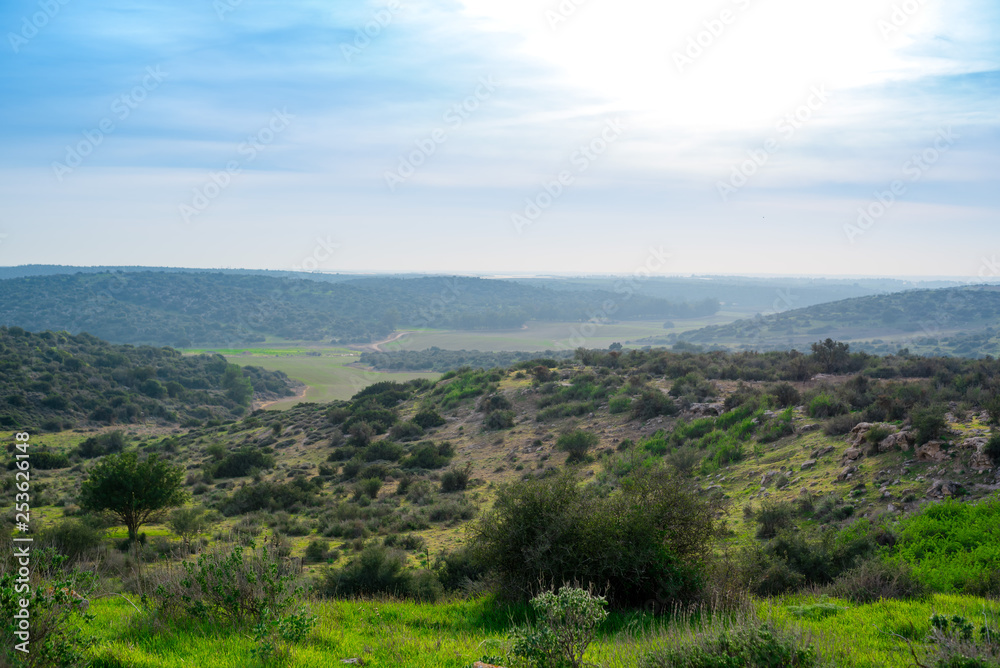 panorama of mountains