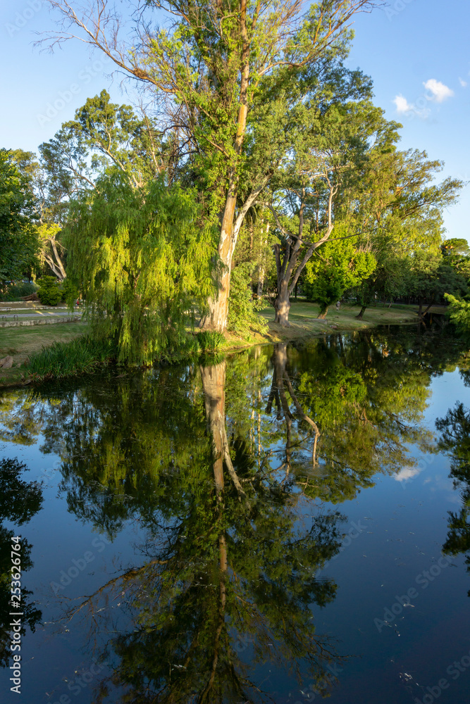 Green trees reflection at Sarmiento Park, Cordoba, Argentina