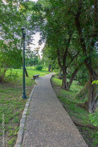 A pathway between green trees at Parque Sarmiento  Cordoba  Argentina