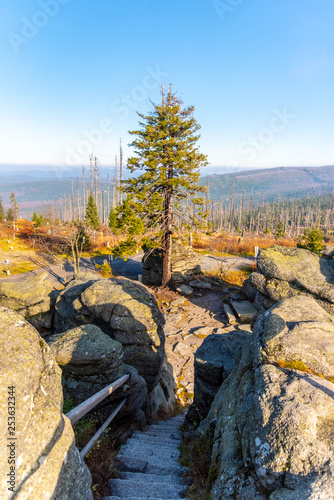 Devasted forest in cause of bark beetle infestation. Sumava National Park and Bavarian Forest, Czech Republic and Germany. View from Tristolicnik rock, Dreisesselberg, to Plechy, Plockenstein photo