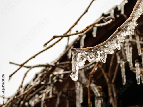 Icy water on a branch. photo