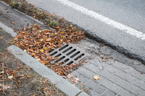 sewage sump in the leaves