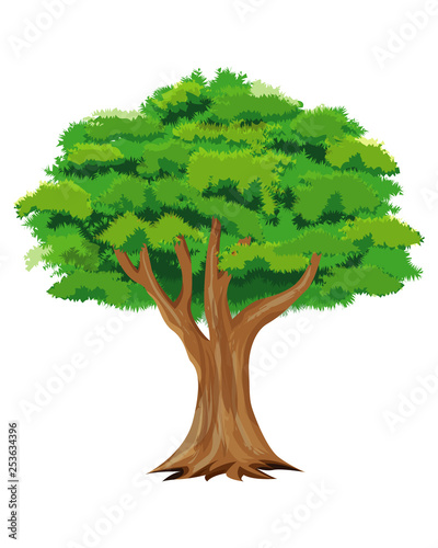 isolated green tree vector design