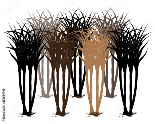 silhouette sugarcane plant vector design