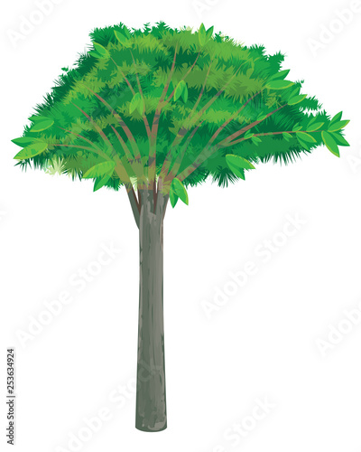 isolated green tree vector design