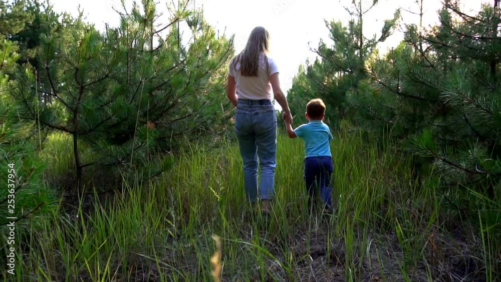 Young woman walking through pine tree forest with little adorable brother holding hands in slow motion Young woman walking through pine tree forest with little adorable brother holding hands in slow motion