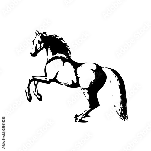 Horse vector