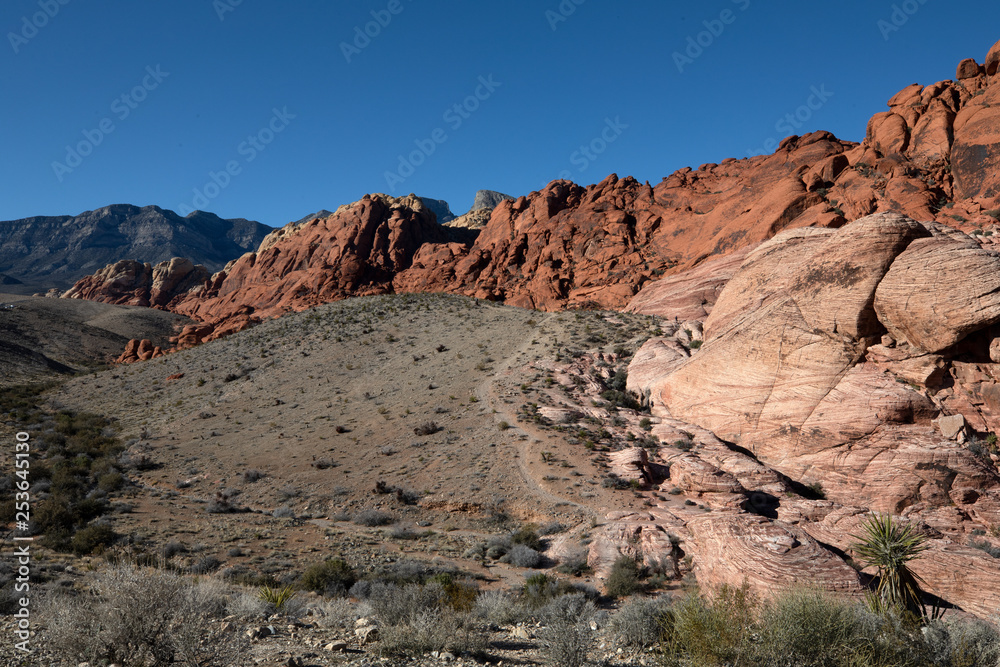 Red Rock Canyon, Nevada, USA. 