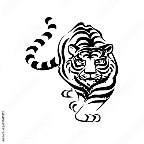 Tiger vector