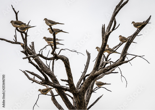 Birds of a feather...