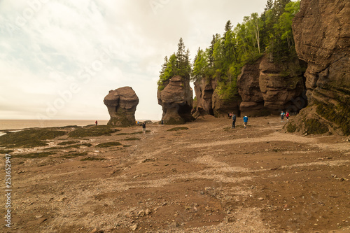Unidentified Tourists Explore Hopewell Rocks on Bay of Fundy at Low Tide.
