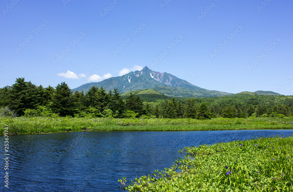 利尻島、南浜湿原と利尻山