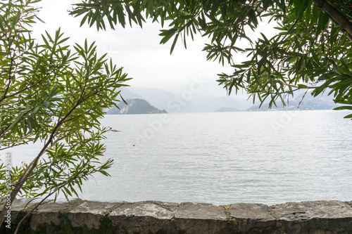 Fototapeta Naklejka Na Ścianę i Meble -  Italy, Varenna, Lake Como, a tree next to a body of water