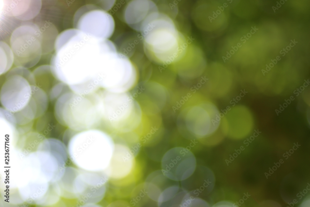 Obraz premium Abstract natural green bokeh background