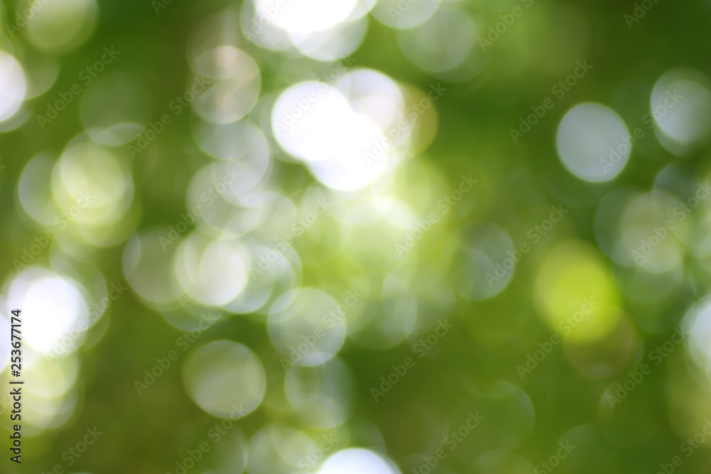 Abstract natural green bokeh background Abstract natural green bokeh background