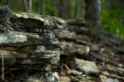 Fototapeta Naklejka Na Ścianę i Meble -  Close Up of Slate Stone in the Forest