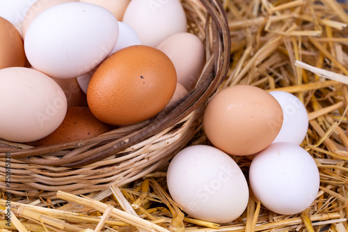 Raw eggs in dry straw. Food concept photo.