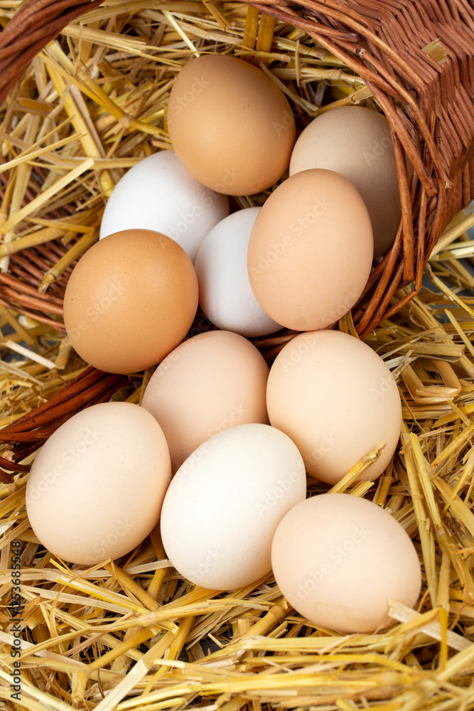 Raw eggs in dry straw. Food concept photo. Raw eggs in dry straw. Food concept photo.