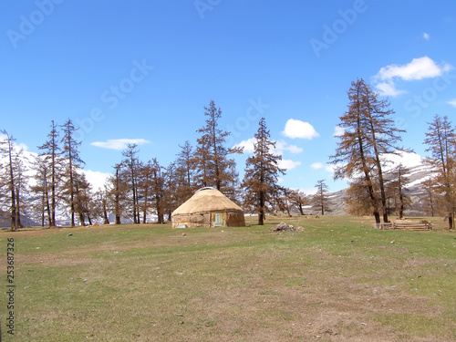 Traditional dwelling of Mongolian nomadic yurt in May photo