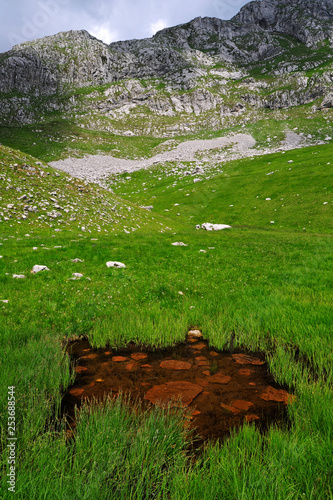 Graslandschaft im Zurim-Gebirge, Montenegro photo