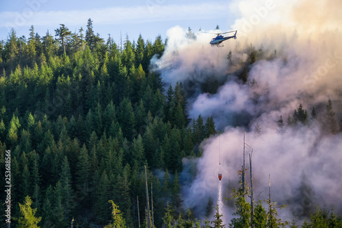 Fototapeta Naklejka Na Ścianę i Meble -  Helicopter fighting BC forest fires during a hot sunny summer day. Taken near Port Alice, Northern Vancouver Island, British Columbia, Canada.