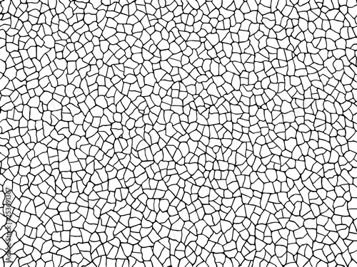 The cracks texture white and black. Vector background.Cracked earth. Structure of cracking. Cracks in dry surface soil texture. shards