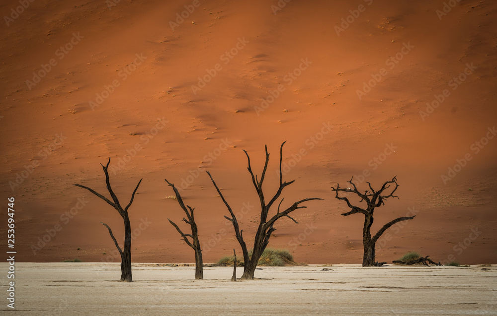 Deadvlei, Sussusvlei