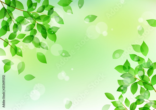 Fresh green and sunbeams background material
